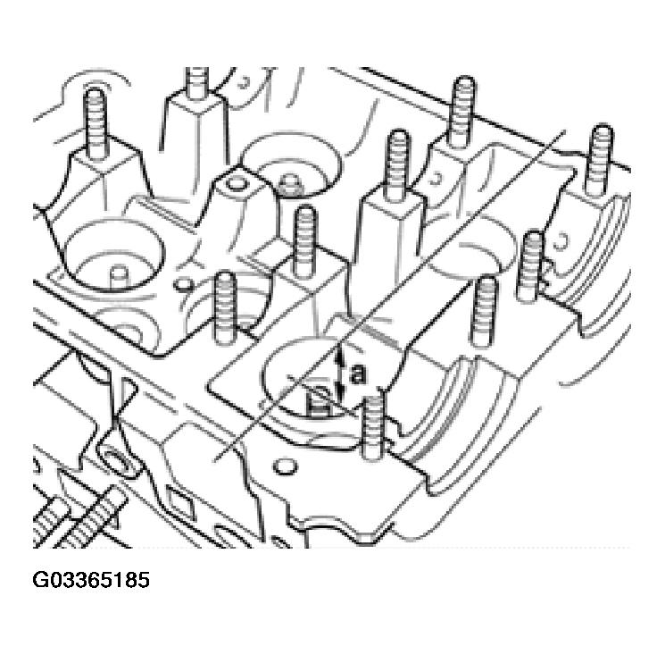 G03365185