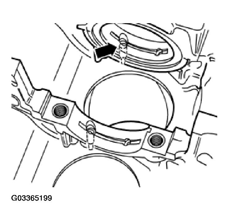 G03365199