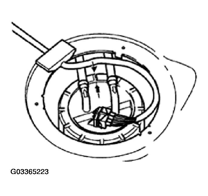 G03365223