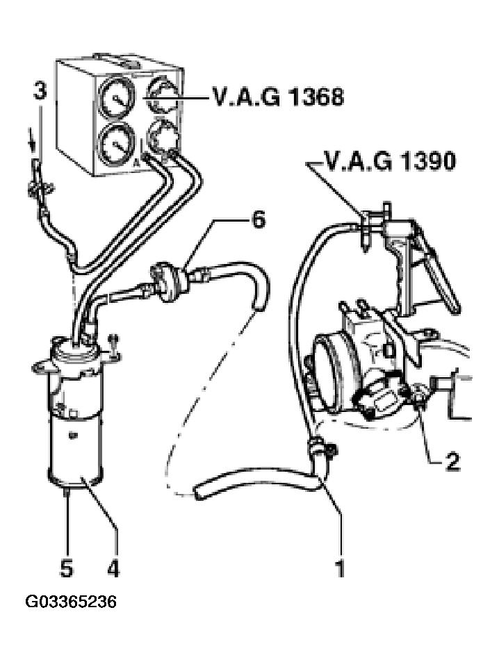 G03365236