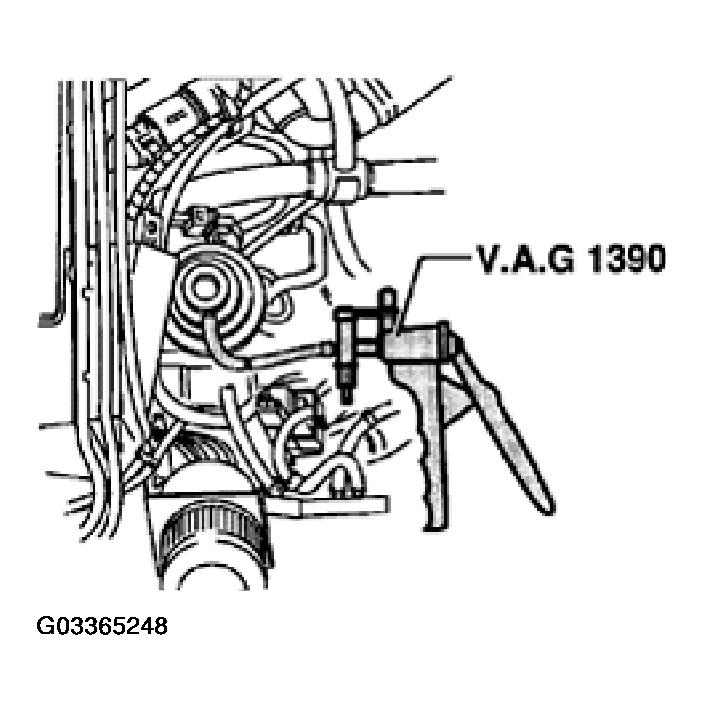 G03365248
