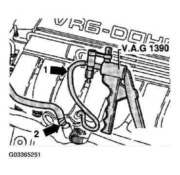 G03365251
