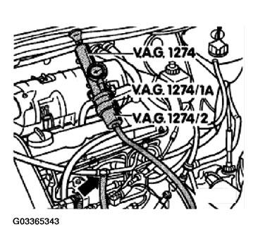 G03365343