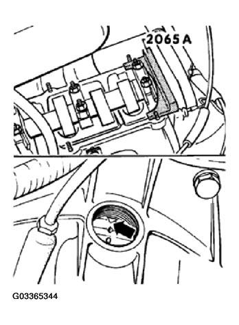 G03365344