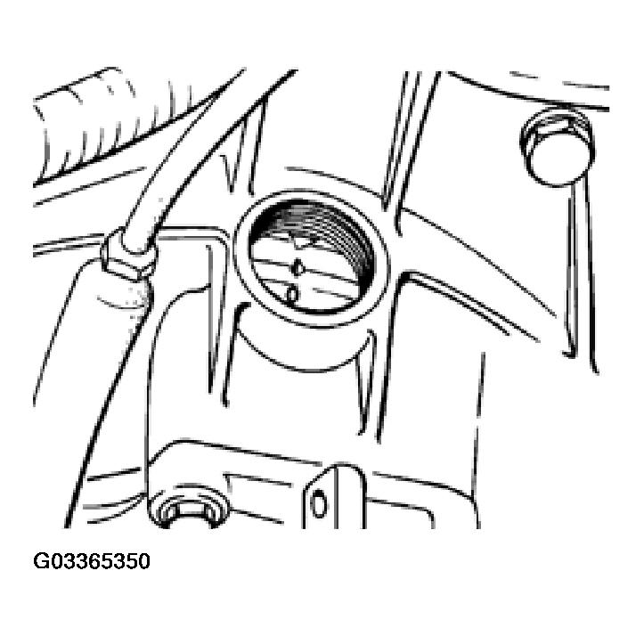 G03365350