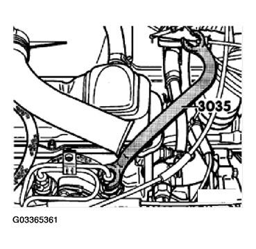 G03365361