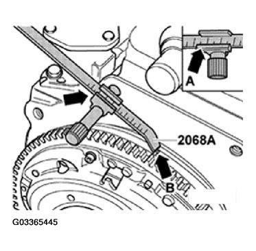 G03365445