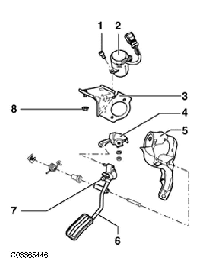 G03365446