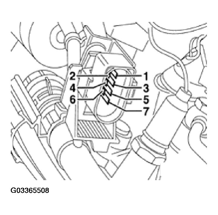 G03365508