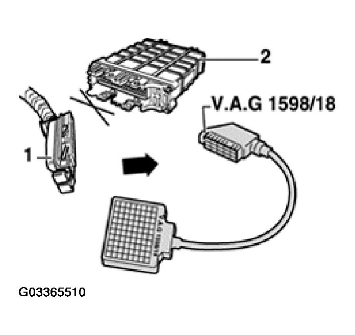 G03365510