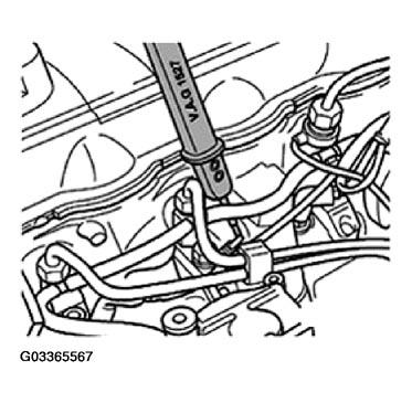 G03365567