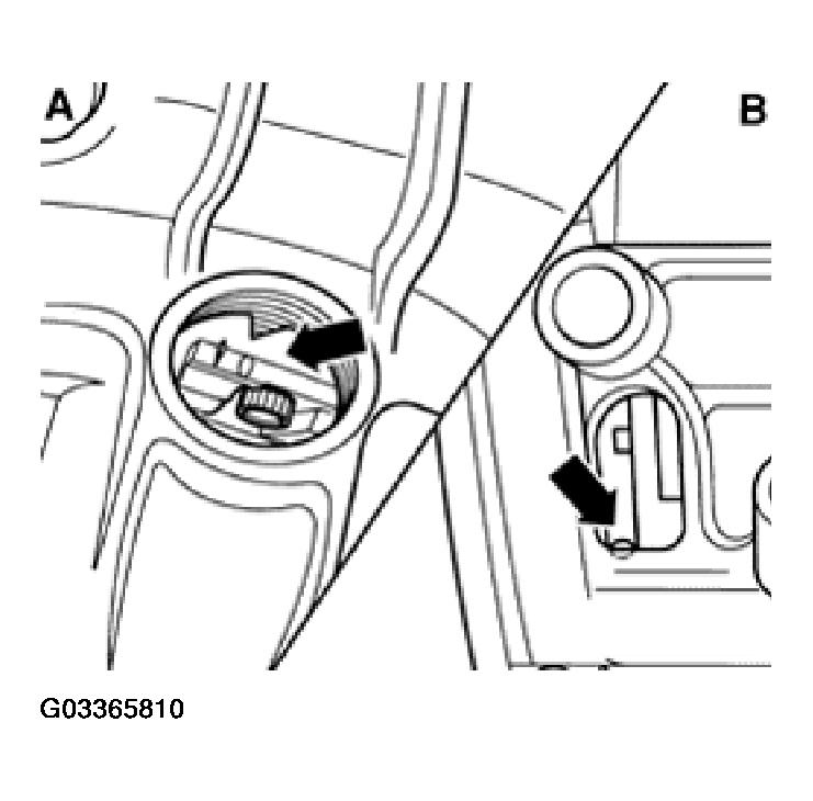 G03365810