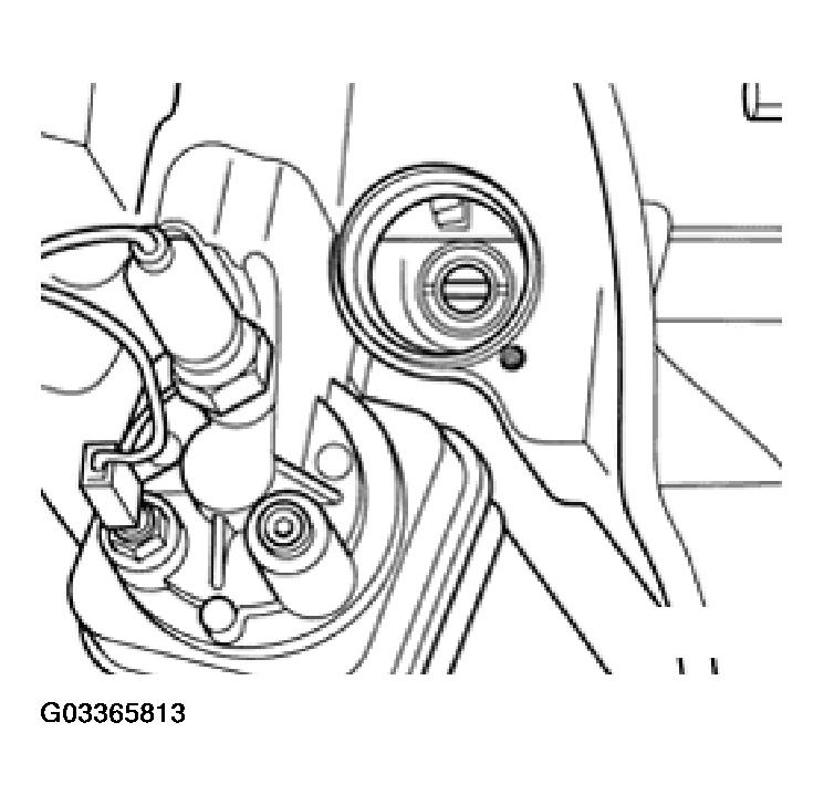 G03365813
