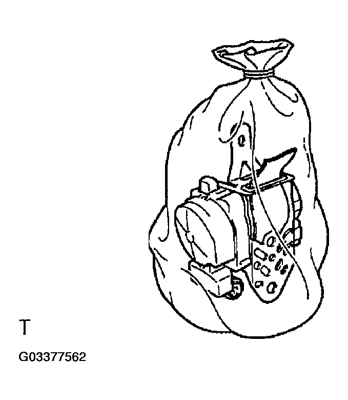 G03377562