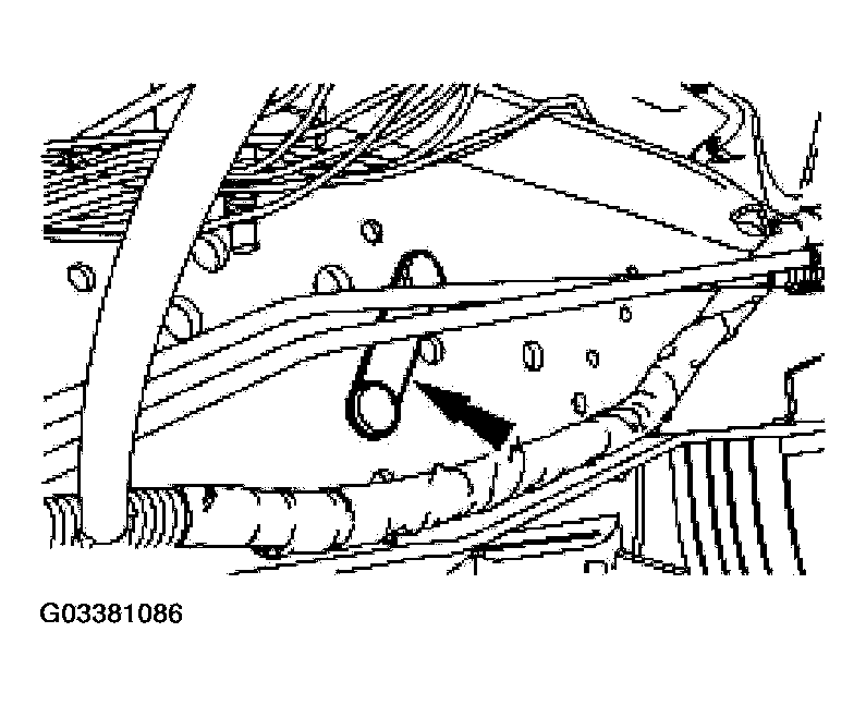 G03381086