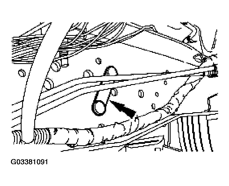 G03381091
