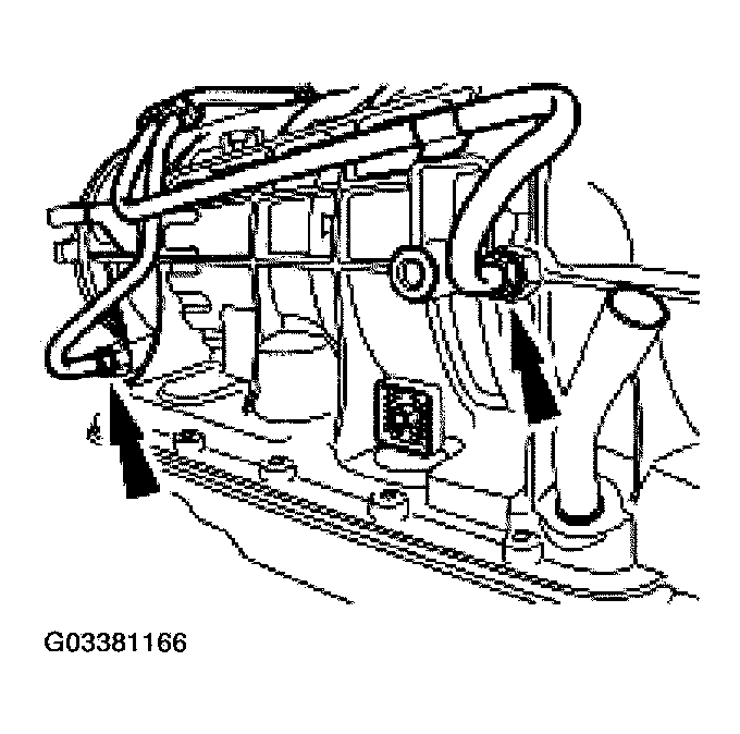 G03381166