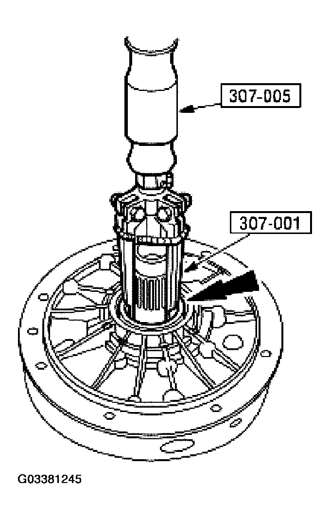 G03381245