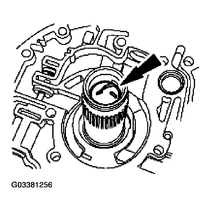 G03381256