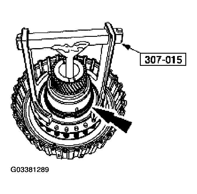 G03381289