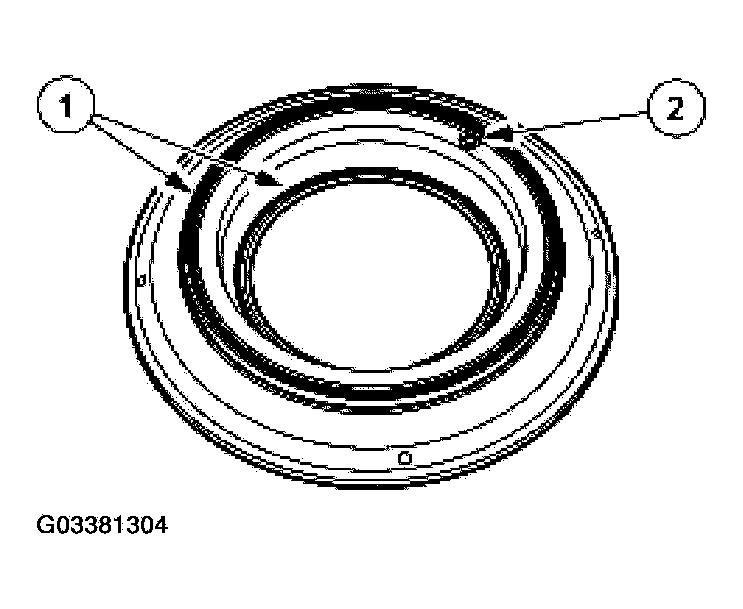 G03381304