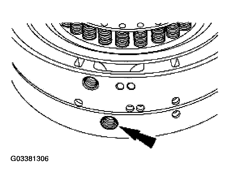 G03381306