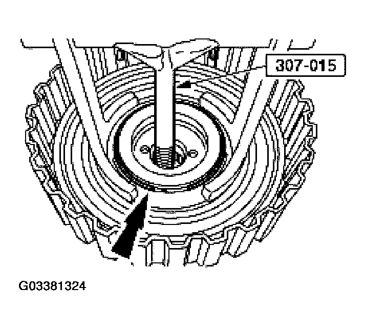G03381324