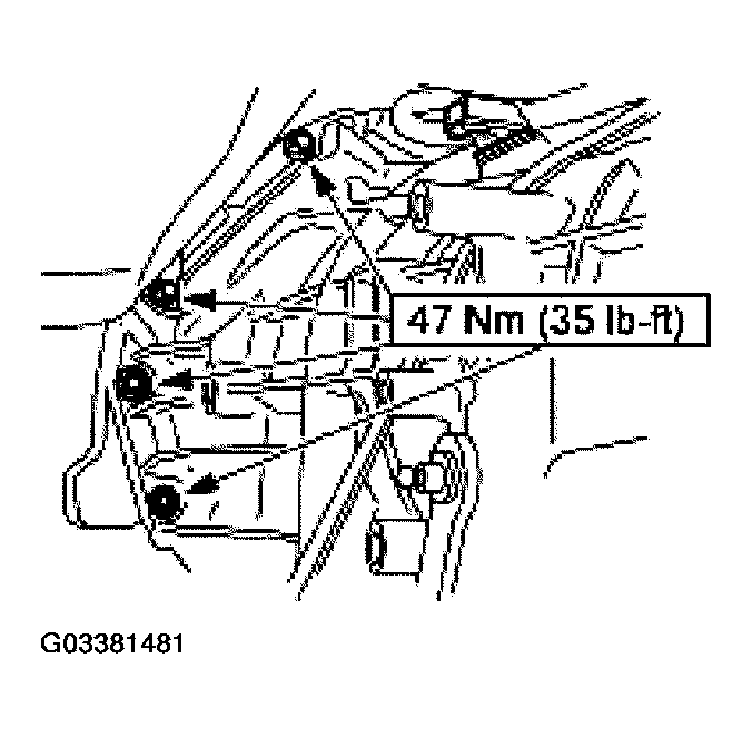 G03381481