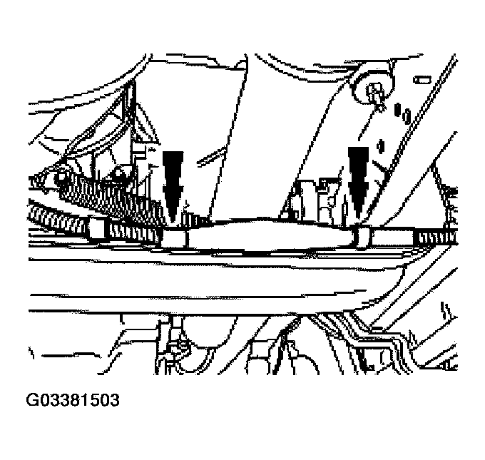 G03381503