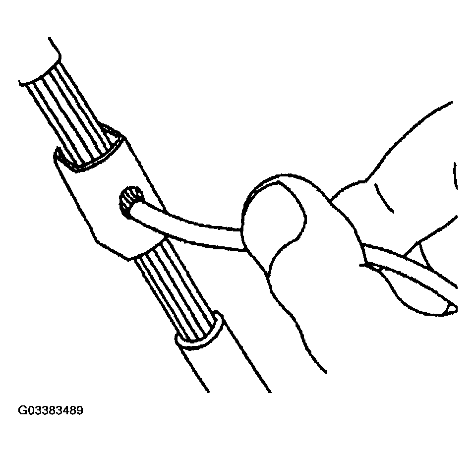 G03383489