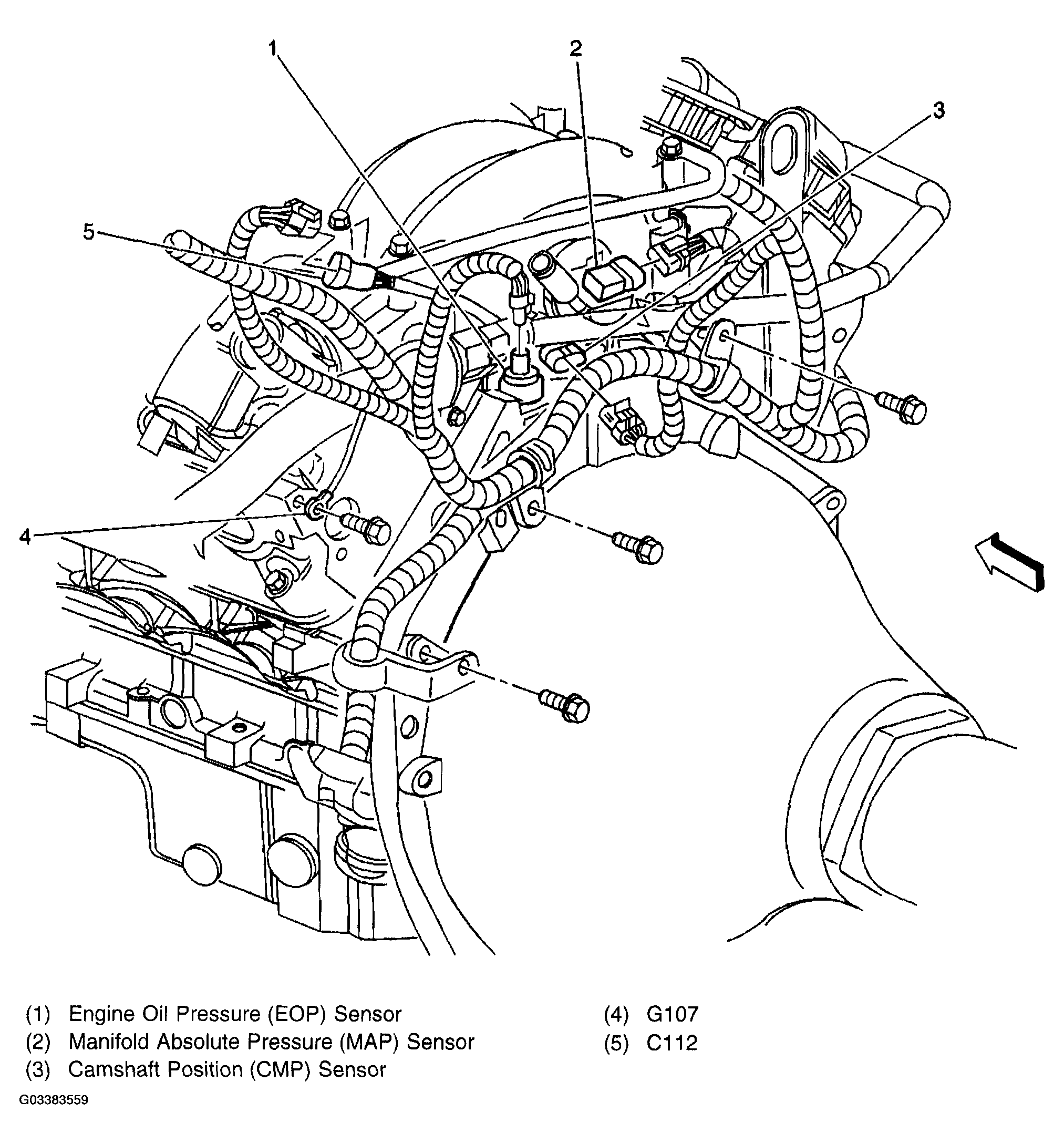G03383559