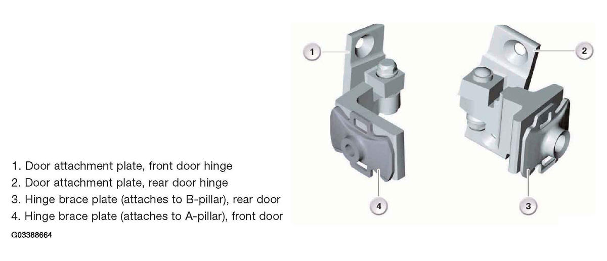 G03388664