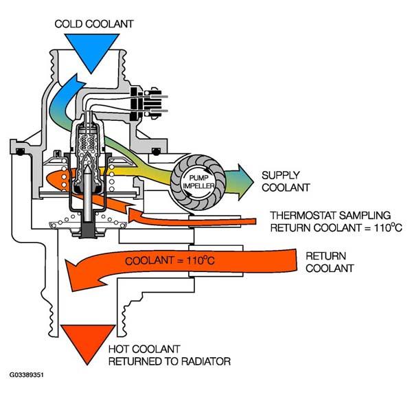 G03389351