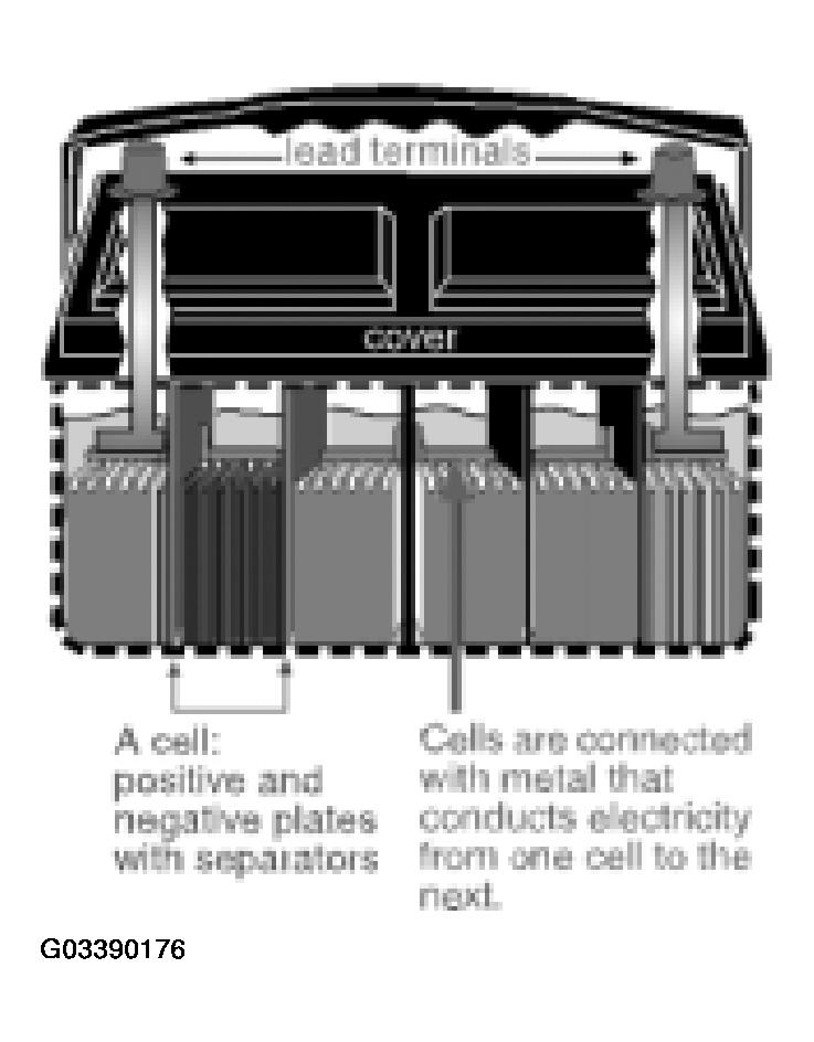 G03390176
