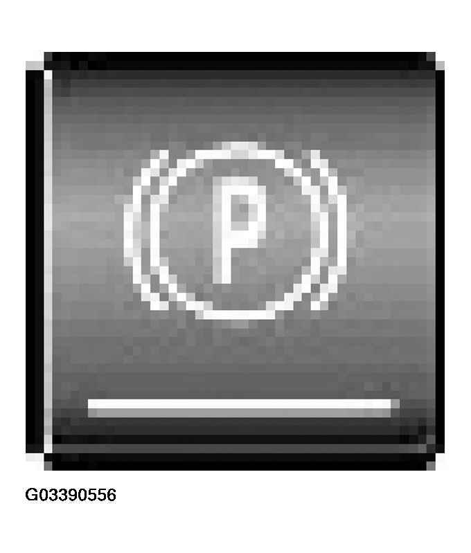 G03390556