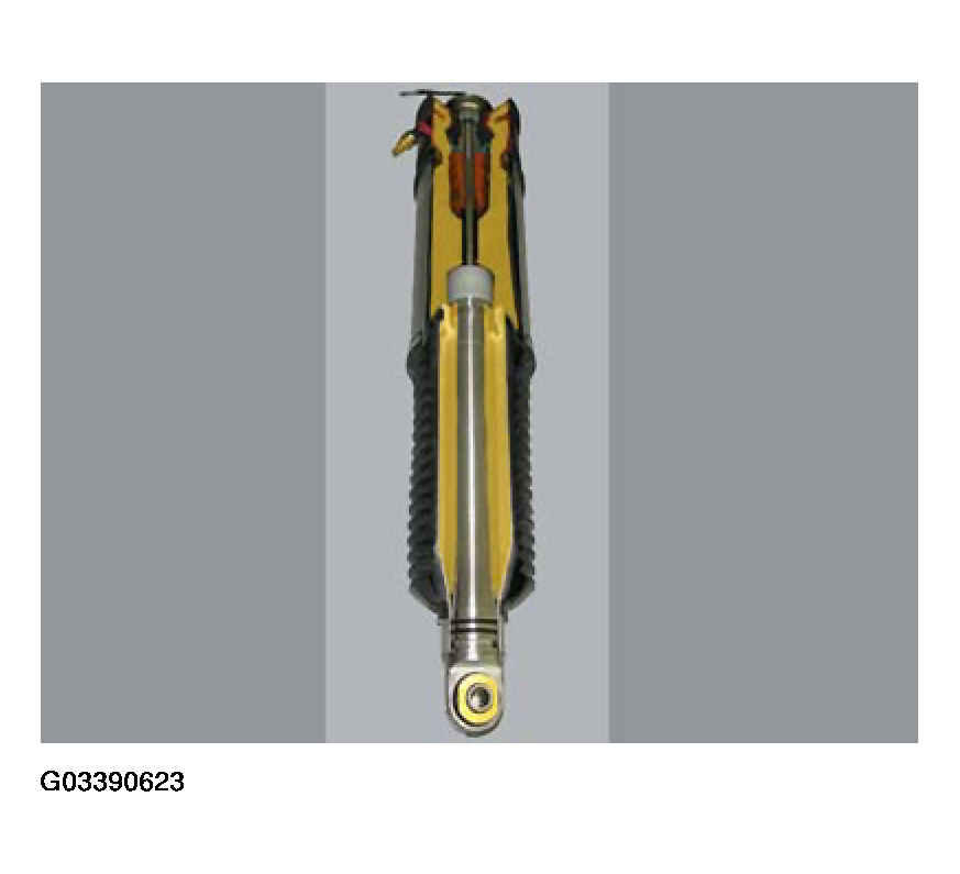 G03390623