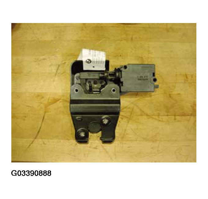 G03390888