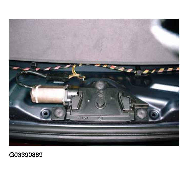 G03390889