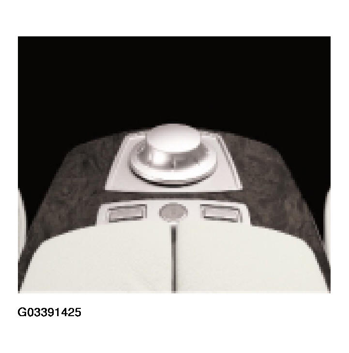 G03391425
