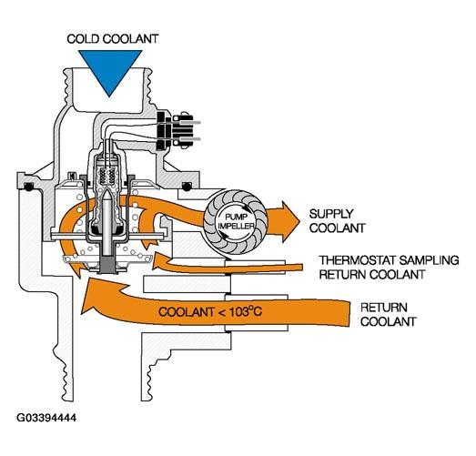 G03394444