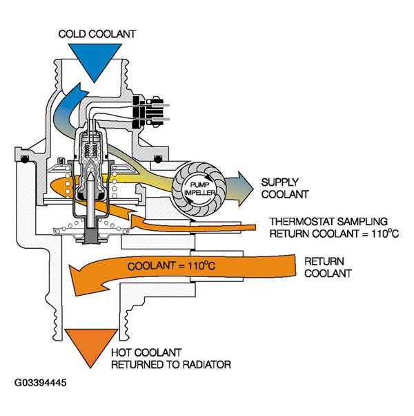G03394445