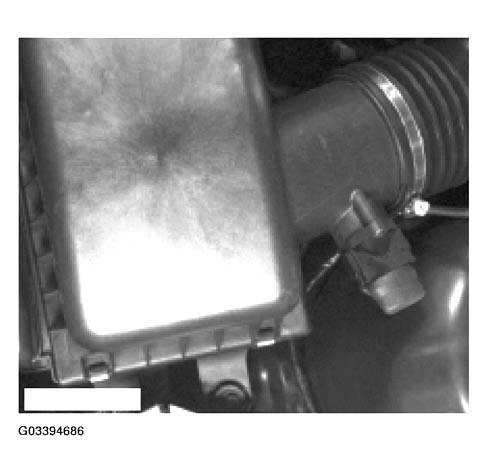 G03394686