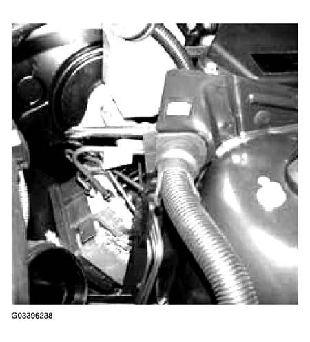 G03396238