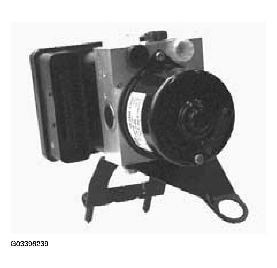 G03396239