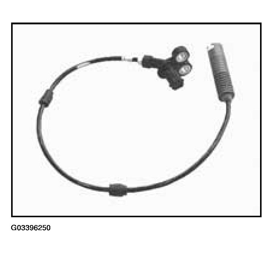 G03396250