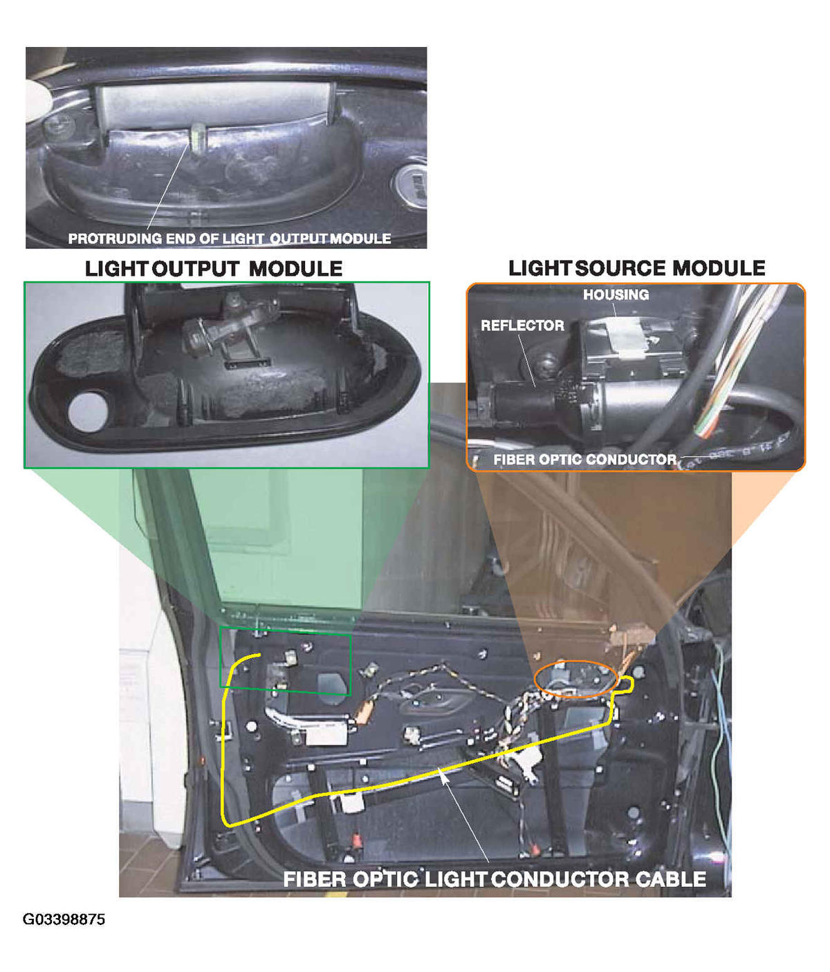 G03398875