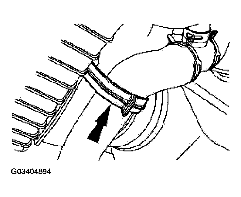 G03404894