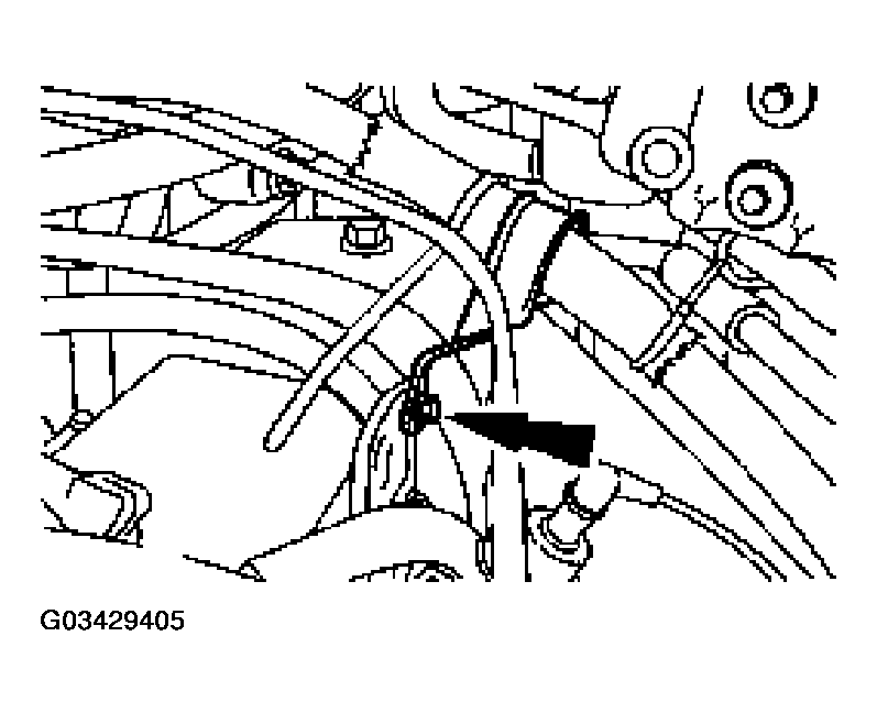 G03429405