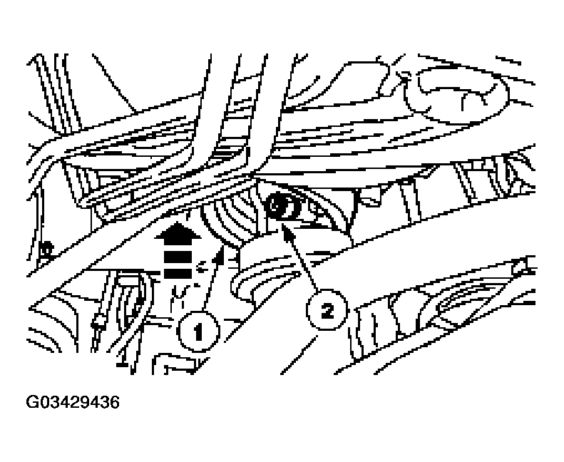 G03429436