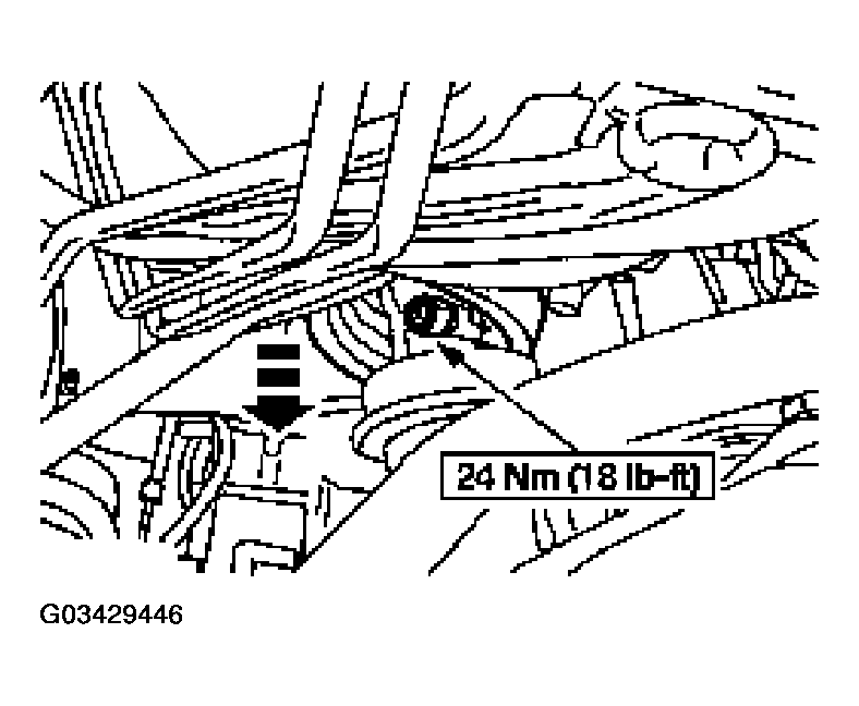 G03429446